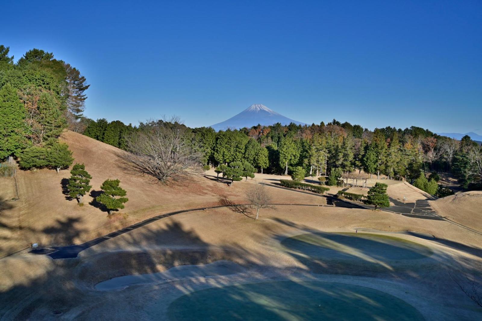 Ryokan Laforet Shuzenji Sanshisuimei Izu (Shizuoka)